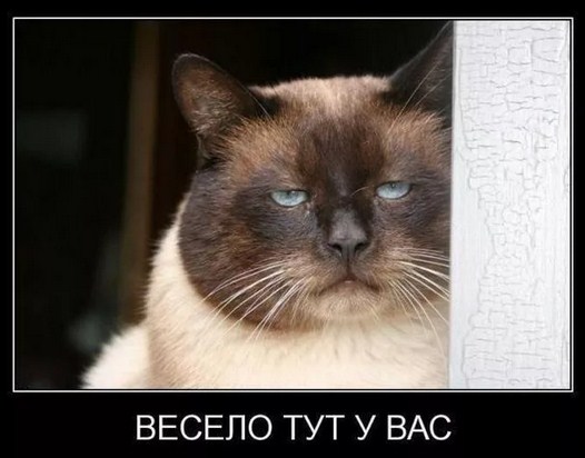 Aptekar.store - Бодибилдинг форум AnabolicShops