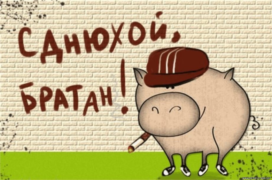 Поздравляем сокланов тут! - Бодибилдинг форум AnabolicShops