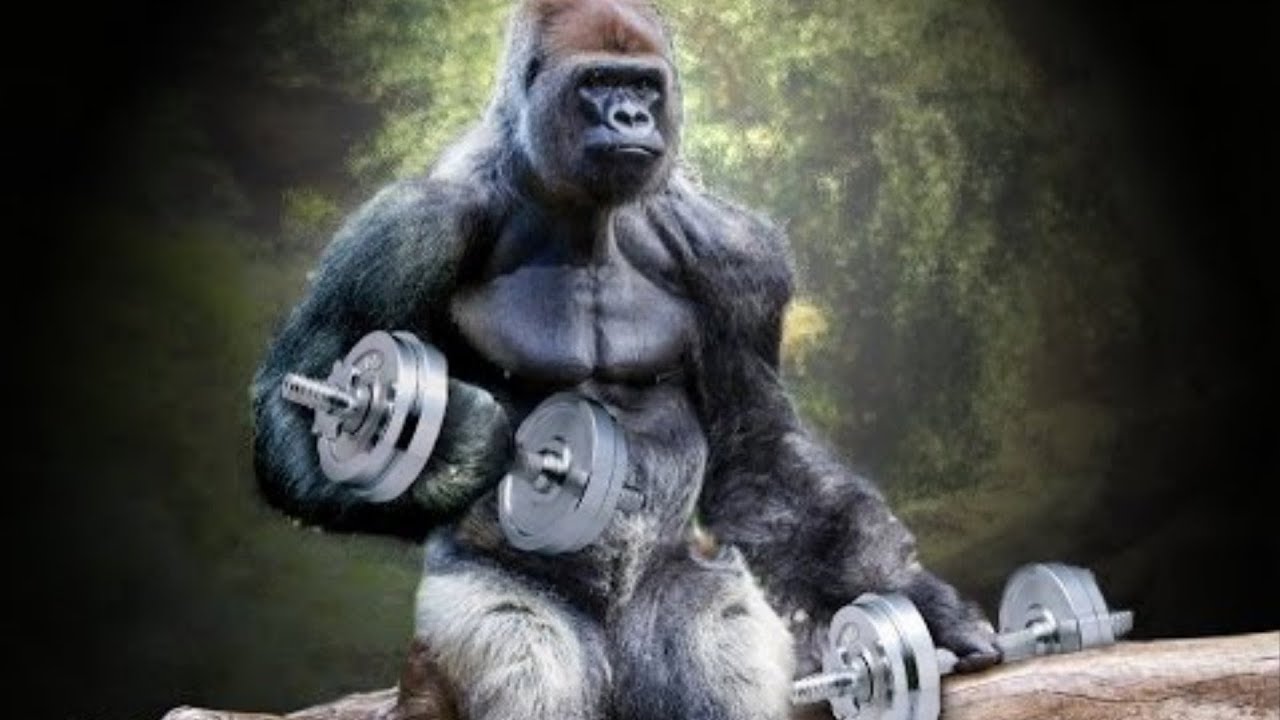 Позирование это АД! - Бодибилдинг форум AnabolicShops