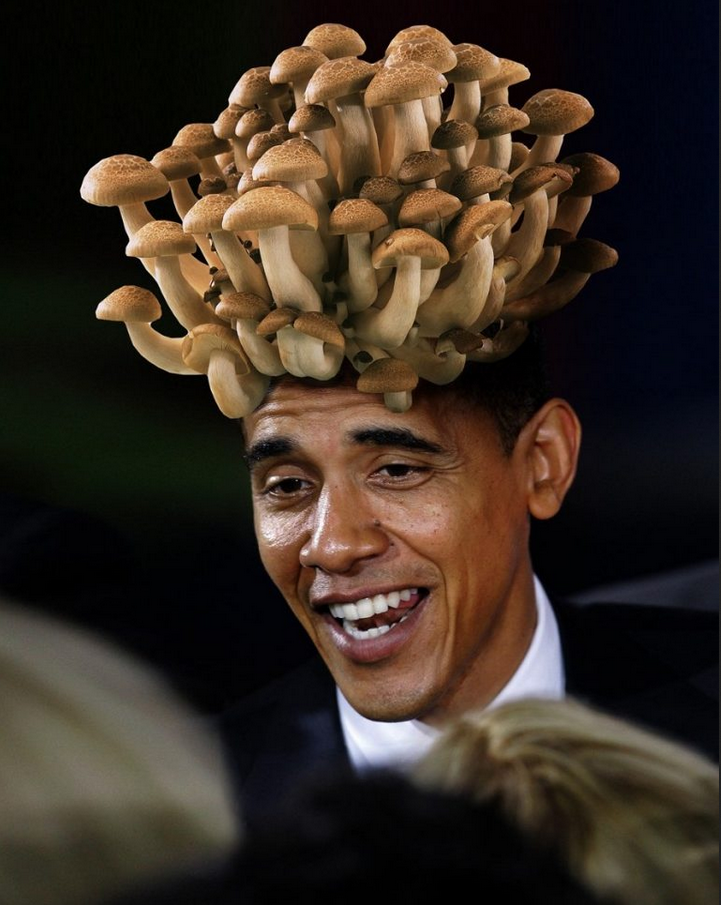 Научные обозреватели допустили, что люди могли произойти от грибов - Бодибилдинг форум AnabolicShops