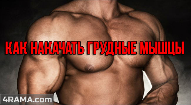 Как правильно накачать грудные мышцы - Бодибилдинг форум AnabolicShops