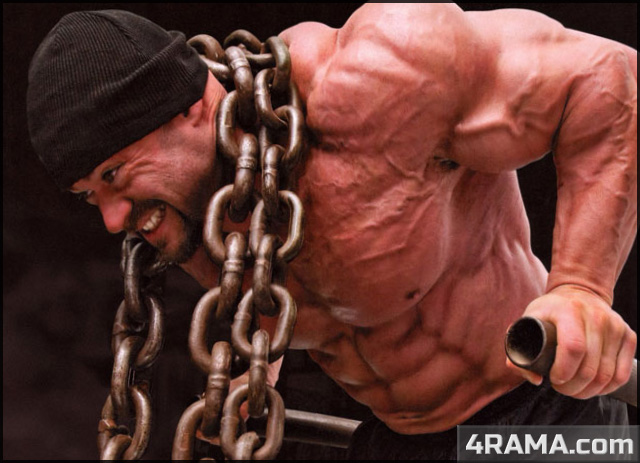 Как правильно накачать грудные мышцы - Бодибилдинг форум AnabolicShops