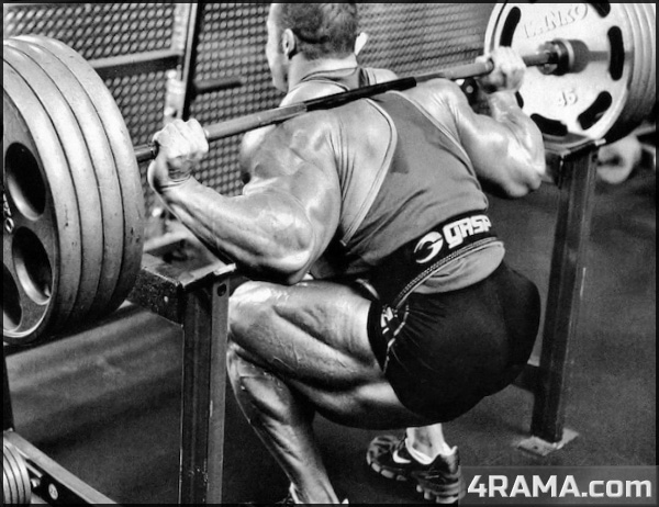 Упражнения для мышц ног - Бодибилдинг форум AnabolicShops