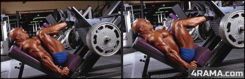 Упражнения для мышц ног - Бодибилдинг форум AnabolicShops