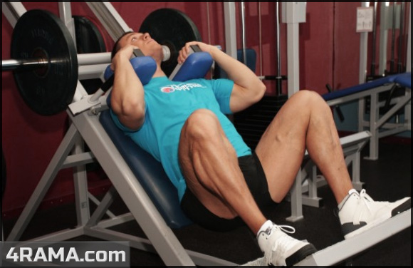 Упражнения для мышц ног - Бодибилдинг форум AnabolicShops