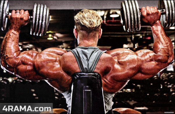 Как накачать широкие плечи - Бодибилдинг форум AnabolicShops