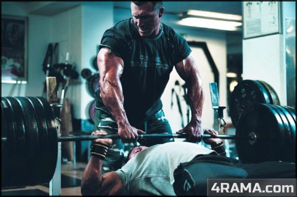 Базовые упражнения в бодибилдинге - Бодибилдинг форум AnabolicShops