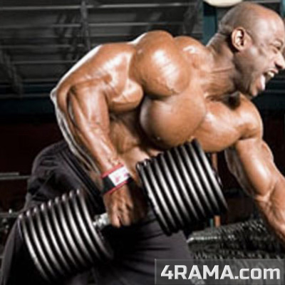 Программа тренировок с гантелями дома - Бодибилдинг форум AnabolicShops