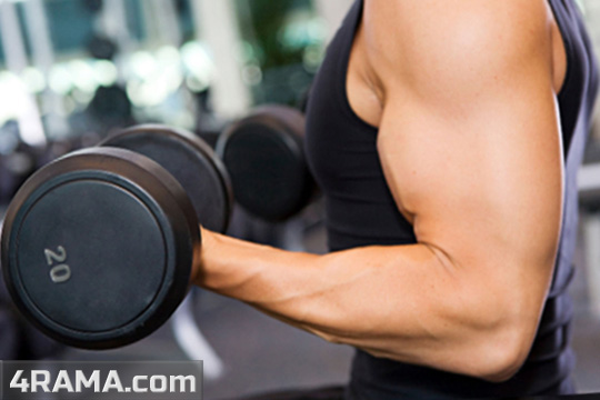 Программа тренировок с гантелями дома - Бодибилдинг форум AnabolicShops