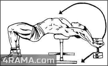 Как расширить грудную клетку - Бодибилдинг форум AnabolicShops