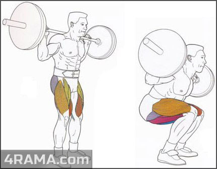 Приседания со штангой на плечах - Бодибилдинг форум AnabolicShops