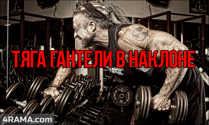 Тяга гантели в наклоне - Бодибилдинг форум AnabolicShops