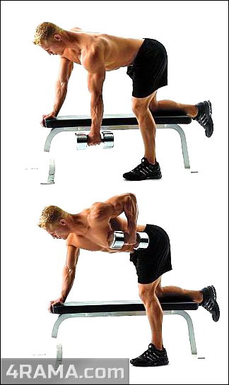 Тяга гантели в наклоне - Бодибилдинг форум AnabolicShops