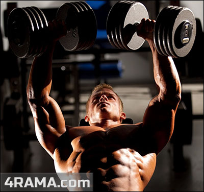 Мышцы стабилизаторы - Бодибилдинг форум AnabolicShops