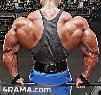 Шраги со штангой - Бодибилдинг форум AnabolicShops