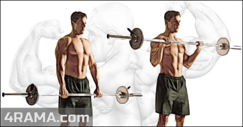 Как накачать предплечья - Бодибилдинг форум AnabolicShops