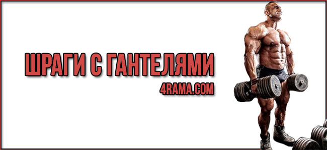 Шраги с гантелями - Бодибилдинг форум AnabolicShops