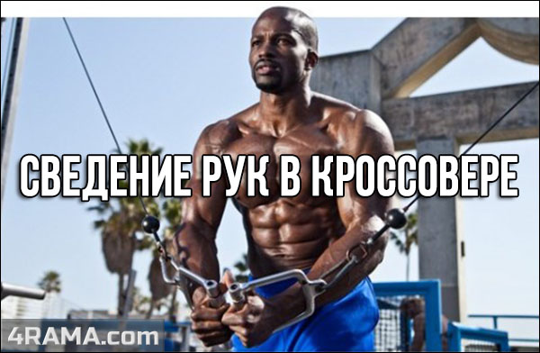 Сведения рук в кроссовере - Бодибилдинг форум AnabolicShops