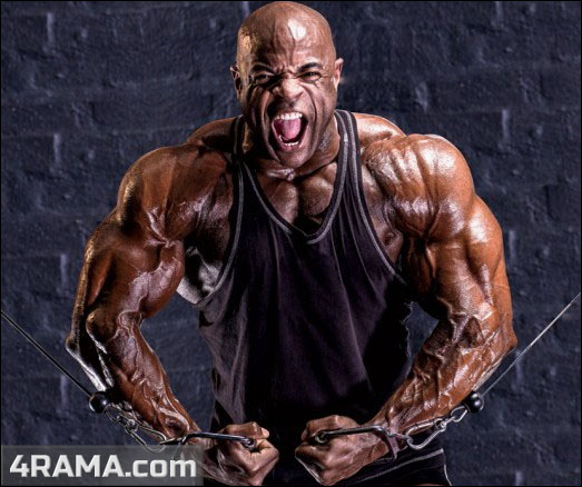 Сведения рук в кроссовере - Бодибилдинг форум AnabolicShops