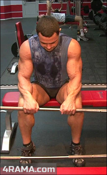 Как накачать предплечья дома - Бодибилдинг форум AnabolicShops