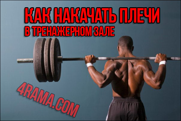 Как накачать плечи в тренажерном зале - Бодибилдинг форум AnabolicShops