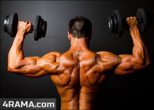 Как накачать плечи в тренажерном зале - Бодибилдинг форум AnabolicShops