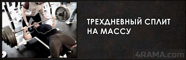 Трехдневный сплит на массу - Бодибилдинг форум AnabolicShops
