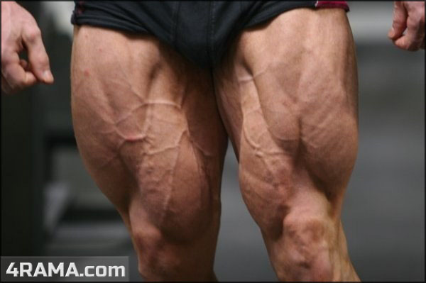 Трехдневный сплит на массу - Бодибилдинг форум AnabolicShops