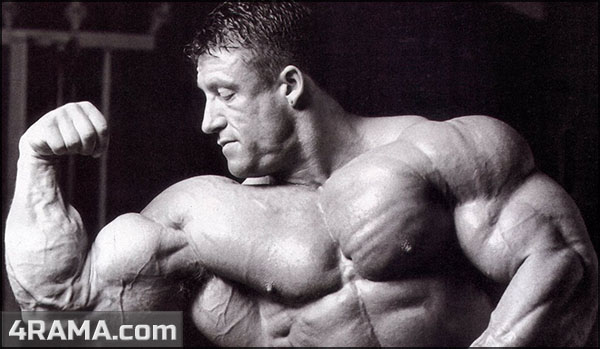 Трехдневный сплит на массу - Бодибилдинг форум AnabolicShops