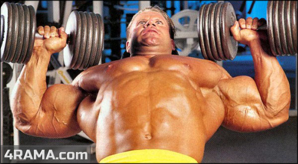 Трехдневный сплит на массу - Бодибилдинг форум AnabolicShops