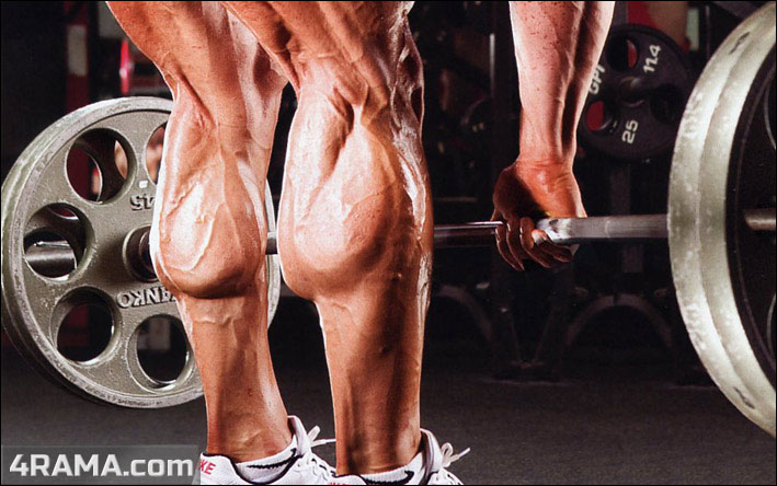 Тренировка икроножных мышц - Бодибилдинг форум AnabolicShops
