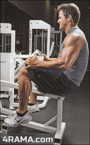 Тренировка икроножных мышц - Бодибилдинг форум AnabolicShops