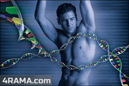 Как тренировать отстающие мышцы - Бодибилдинг форум AnabolicShops