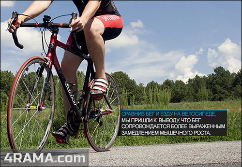 Кардио на массе - Бодибилдинг форум AnabolicShops