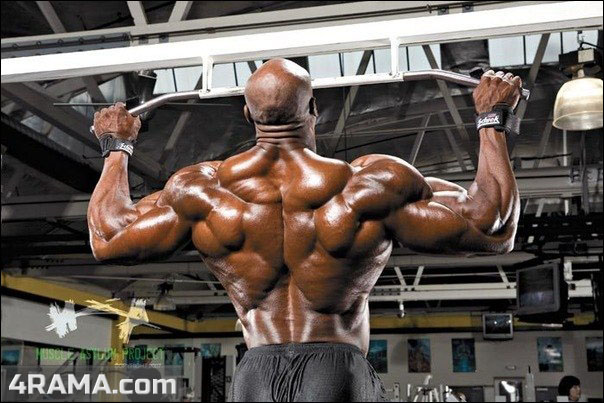 Подтягивания - Бодибилдинг форум AnabolicShops