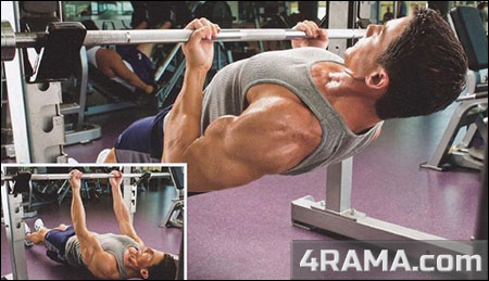 Подтягивания - Бодибилдинг форум AnabolicShops