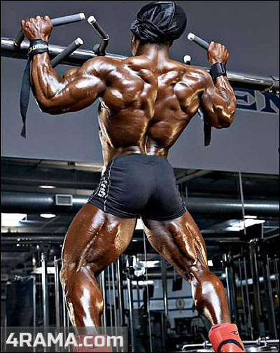 Подтягивания - Бодибилдинг форум AnabolicShops