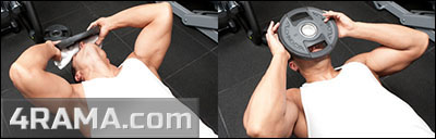 Тренировка и разминка шеи - Бодибилдинг форум AnabolicShops