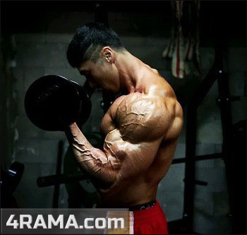 Негативные повторения - Бодибилдинг форум AnabolicShops