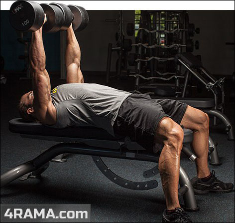 Разминка перед силовой тренировкой - Бодибилдинг форум AnabolicShops