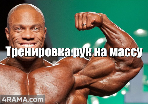 Тренировка рук на массу - Бодибилдинг форум AnabolicShops