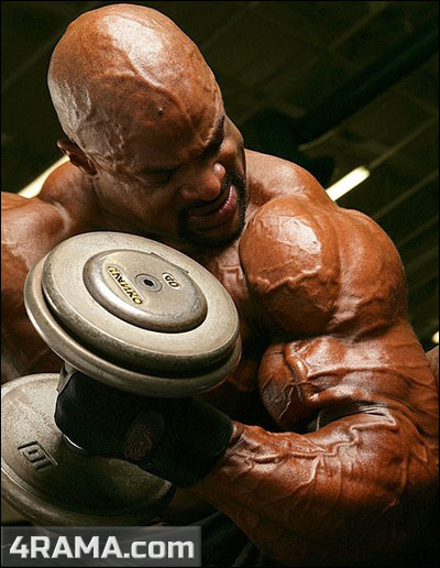 Тренировка рук на массу - Бодибилдинг форум AnabolicShops