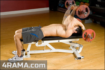 Тренировка рук на массу - Бодибилдинг форум AnabolicShops