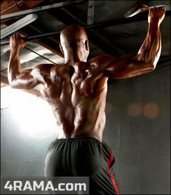 Тренировка для набора массы дома - Бодибилдинг форум AnabolicShops