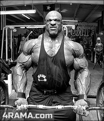 Силовые циклы - Бодибилдинг форум AnabolicShops