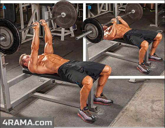 Упражнения на трицепс в домашних условиях - Бодибилдинг форум AnabolicShops