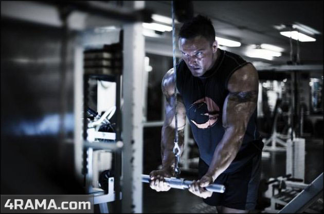 Составление программы тренировок - Бодибилдинг форум AnabolicShops