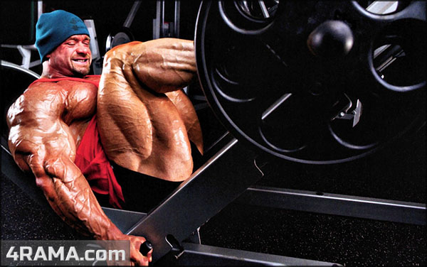 Составление программы тренировок - Бодибилдинг форум AnabolicShops