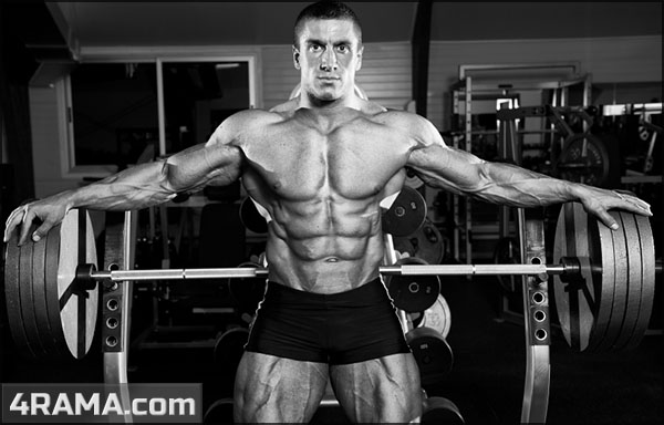 Составление программы тренировок - Бодибилдинг форум AnabolicShops