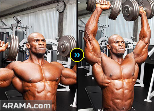 Программа тренировок в зале на массу - Бодибилдинг форум AnabolicShops